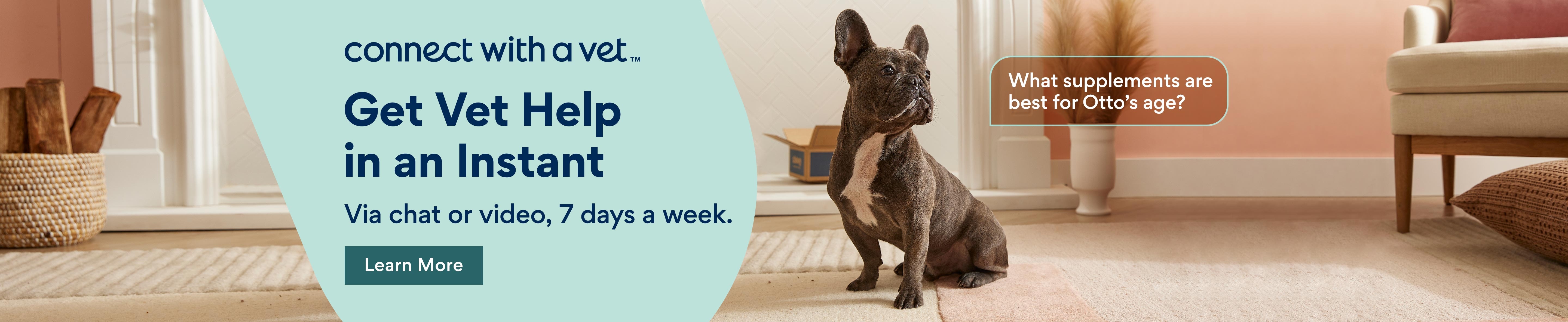 get vet help in an instant. via chat or , 7 days a week